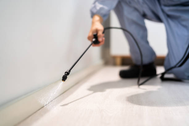 Licensed Termite Control service in Claremont, NH - Nex Pest Control