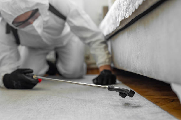 Professional Termite Control technician working in Claremont, NH