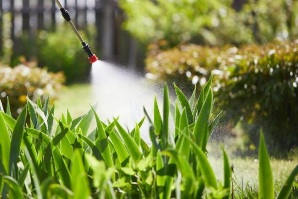 24/7 Emergency Termite Control experts in Claremont, NH