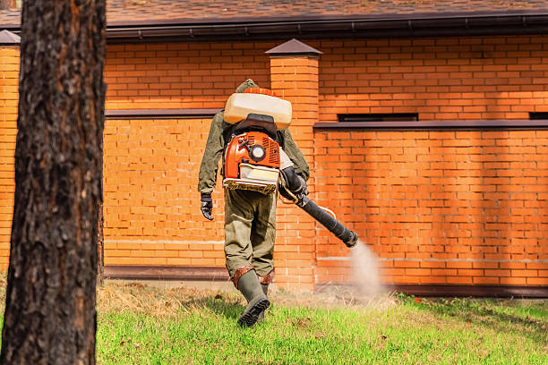 Trusted Emergency Pest Control service in Claremont, NH - Nex Pest Control